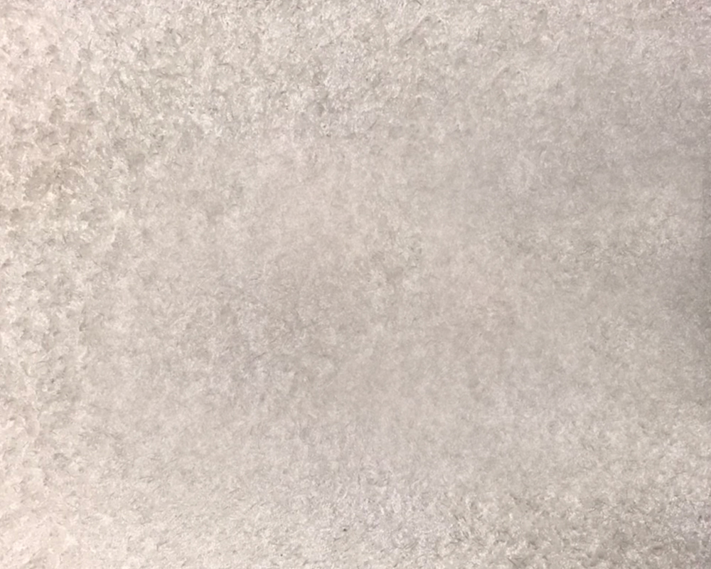 群93